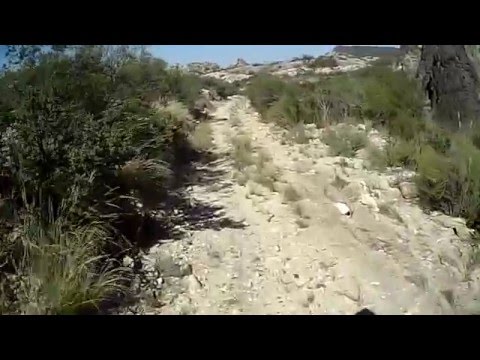 Paloma 19-3-16 - LSENCUENTROBIKE - 808 #16 v3