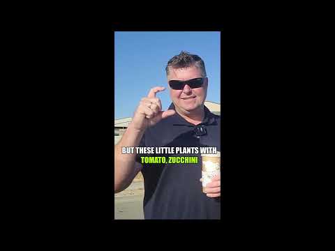 How To Make Money Growing Food!