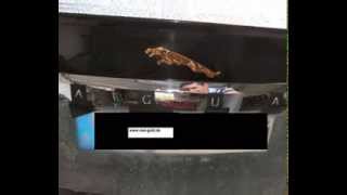 preview picture of video 'www.real-gold.de Gild my Jaguar XF S gold plating'
