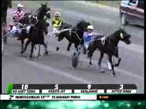 10/11/2013, Montegiorgio , Premio Ordinary People