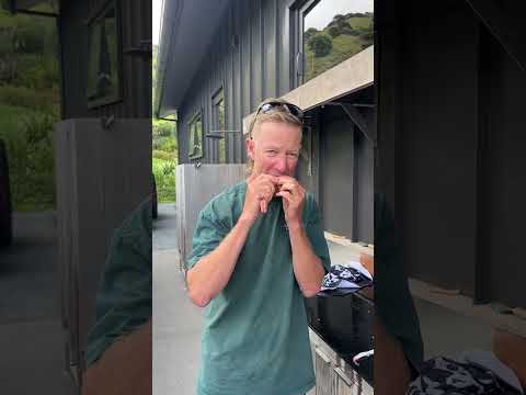 Gurnard Filleting! Great eating fish, best way to fillet! #gurnard #fishfillet