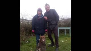Windyway Animal Rescue Centre