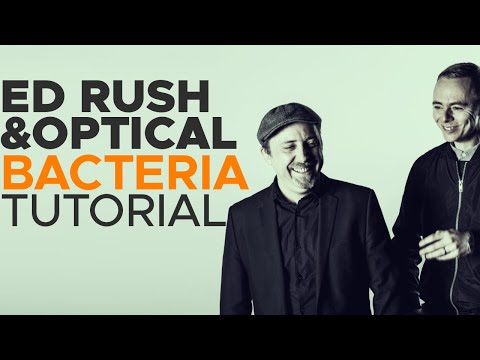 How To Make BASSES like ED RUSH & OPTICAL - BACTERIA | Serum Tutorial