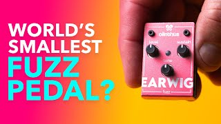 Video thumbnail for The World's Smallest Fuzz Pedal??? Olinthus Earwig Fuzz! by Olinthus