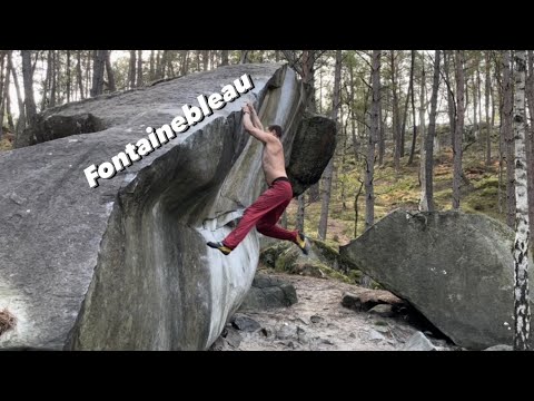 Bouldern in Fontainebleau 2022