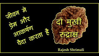 2 Mukhi Rudraksha | दो मुखी रुद्राक्ष के फ़ायदे | Benefits & Significance | Rajesh Shrimali Ji