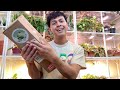 Etsy Shop Rare Houseplants Unboxing! Planty Haul & Repotting 🪴 The Green Escape