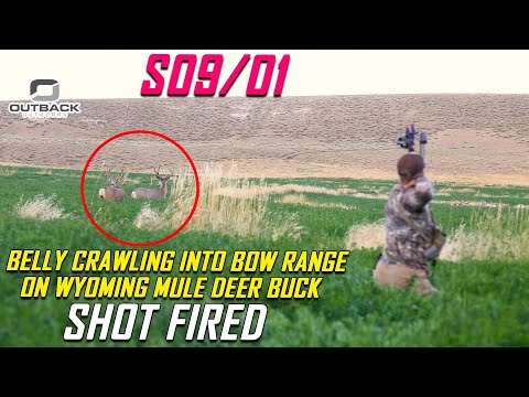 Belly Crawling Into Bow Range On Wyoming Mule Deer Buck Shots Fired S09/E01