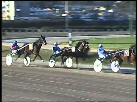 Trotto 13/01/2015 - 2° corsa