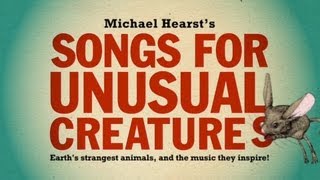 Aye-aye | Songs For Unusual Creatures | Pilot episode