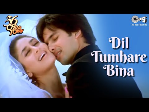 Dil Tumhare Bina — watch video