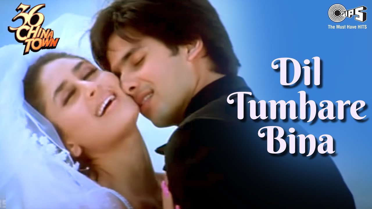 Dil Tumhare Bina Lyrics English Translation Dil Tumhare Bina Lyrics English Translation
