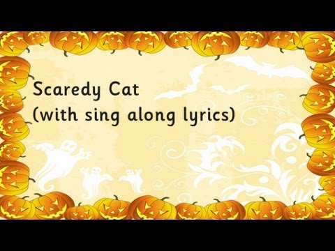 Kidzone - Scaredy Cat