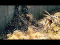 Ataque zombi en Jerusalén (ese muro no era lo suficientemente alto...)