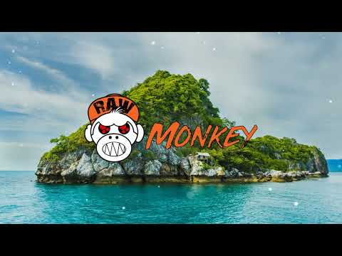 Psyfiix - Polluted System (XTRA RAW) [MONKEY TEMPO]