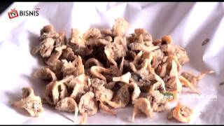 Download lagu Sukses Memanfaatkan Peluang Bisnis Aneka Olahan Ikan mp3