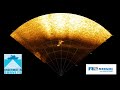 UWS Whale And Fish Shoal In Forward Looking Sonar