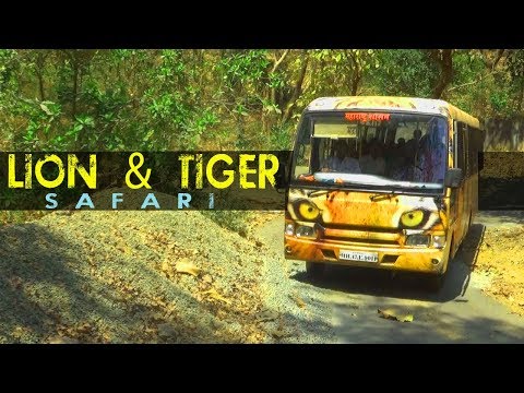 download lagu mp3 mp4 Borivali National Park Animals, download lagu Borivali National Park Animals gratis, unduh video klip Borivali National Park Animals