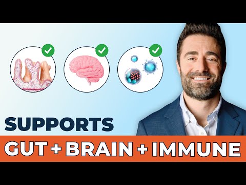 L-Glutamine for Gut Health, Immunity, Brain & Muscle