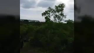 preview picture of video 'Ngetrip ke puncak bukit Kiliyeuw'