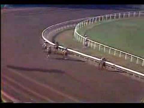 Landaluce wins the Hollywood Lassie by 21 lengths