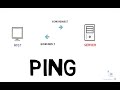 What Is Ping PING Command Explained