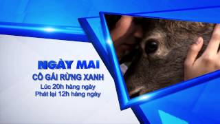 Bo hinh hieu SNTV 2015 demo