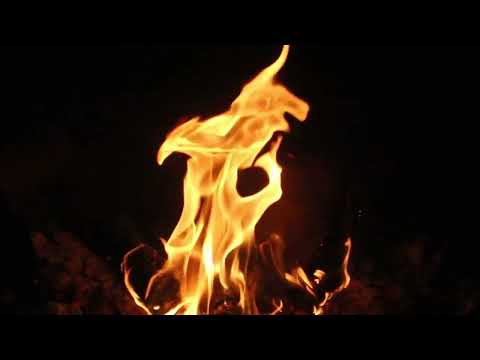 Day 165 Family - Bï - I am the Being’s home