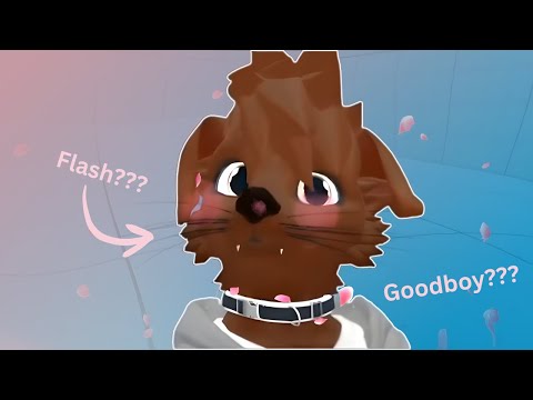 Gothegg Flash