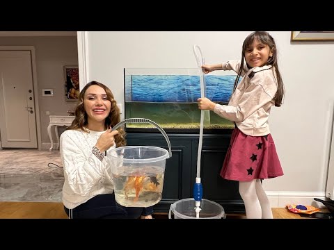 AKVARYUMUMUZU TEMİZLİYORUZ ! AKVARYUM TEMİZLİĞİ NASIL YAPILIR