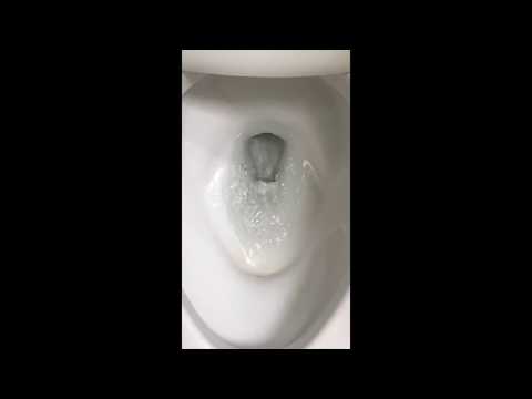 Unclog Toilet Bowl Siphon Jet Hole to Improve Flushing