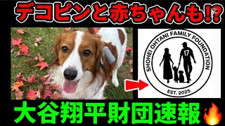 衝撃…デコピンと赤ちゃんも!? 大谷翔平財団速報🔥