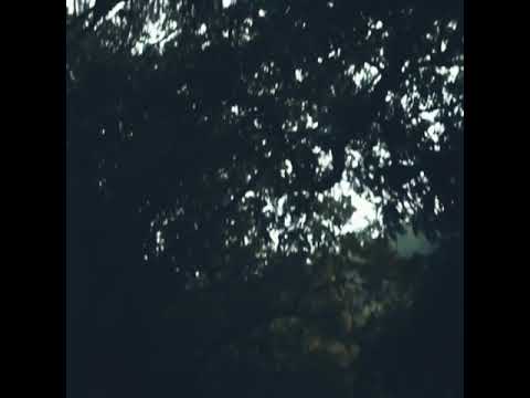 Still Falls The Rain. - AOA. - Noah Urrea e Diarra Sylla. - Noarra.