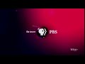 PBS 2010
