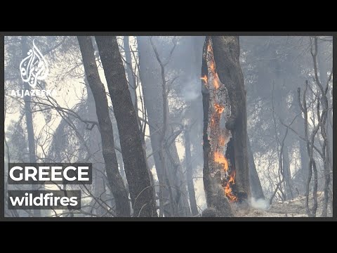 The devastation of Greece's worst wildfires in decades