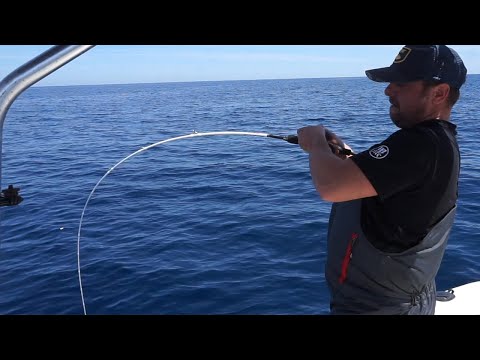 Una tecnica che fa IMPAZZIRE i pesci!