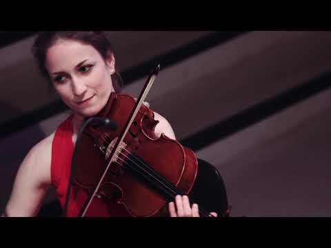 Feldmann/Schwamm/Pelz: J.S. Bach - Goldberg Variations 4/5/6 @ Moon Sessions [take 1]