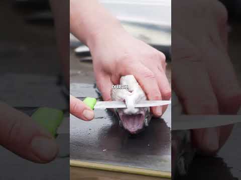 Forellen ausnehmen in 60 Sekunden mit diesem Trick 🔪