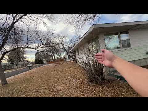 320 South 1st Street - Video 2 of 2