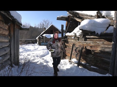 Woman lives alone in Taiga forest in abandoned village. Far from civilization. Life in Russia