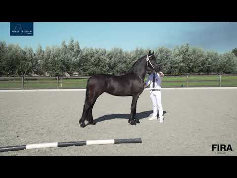 Locatiekeuring Stal Gebr. van Manen 31-7-2020