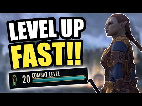 Level Up Your Companions FAST! ✔✔ Top 5 Tips For Leveling Companions In ESO Blackwood!