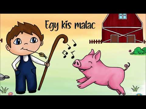Egy kis malac ... - Kedvenc gyerekdalaink!