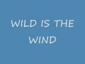 Wild is the wind