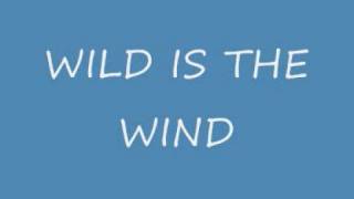 Wild is the wind