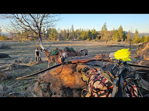 The Life Outdoorz and 3RiversArchery
