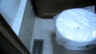 New Fema Trailers for sale