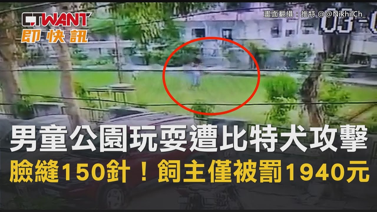 圖說-男童公園玩耍遭比特犬攻擊　臉縫150針！飼主僅被罰1940元
