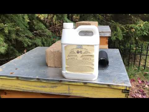 Treating honey  bees for Varroa mites with formic acid
