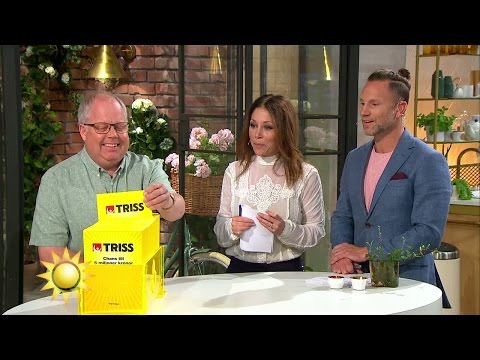 Jan skrapar Triss åt sin pappa: "Det har han gjort sig förtjänt av!” - Nyhetsmorgon (TV4)